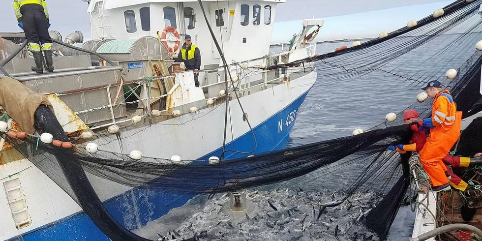 Sjømatrådet får bare småpenger til å gjøre jobben de er satt til når Norge kjemper for en posisjon i store fiskemarkeder i Asia og Europa, mener Norges Sildesalgslag. Her fra makrellfisket i Lofoten i sommer. «Øyaskjær» var for anledningen føringsbåt, som pumpet makrell hos karene om bord på «Fugløyfisk». Foto: Fugløyfisk