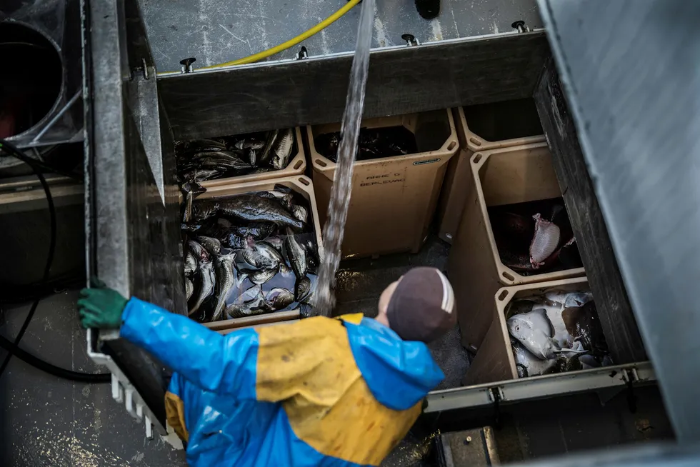 Det uregistrerte fisket i Norge var på 29 prosent mer enn kvotene og hadde en førstehåndsverdi på cirka 2,7 milliarder kroner i fjor.