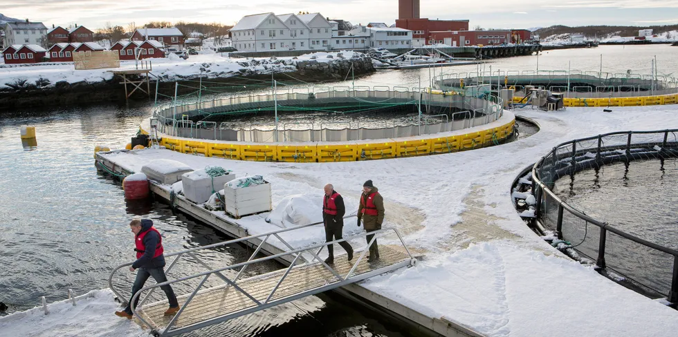 Løsningen på oppdrettsnæringens luseproblem er at oppdrett må inn i lukkede anlegg, med de samme krav til rensing som all annen industri og næringer som bruker havet. Bildet er fra AkvaDesign i Brønnøysund som har utviklet en teknologi for lukkede merder for oppdrettslaks.