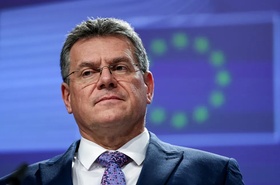 European Commission executive vice-president Maroš Šefčovič.