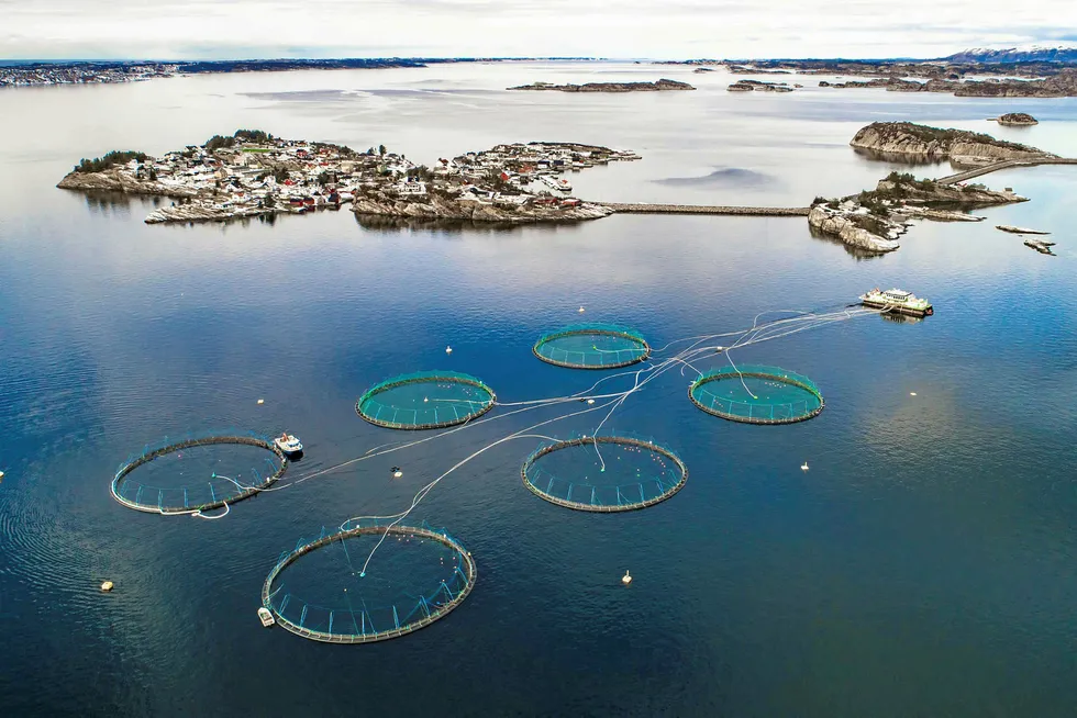 A salmon farm outside Bergen, Norway. Farmed salmon prices have taken a tumble recently.