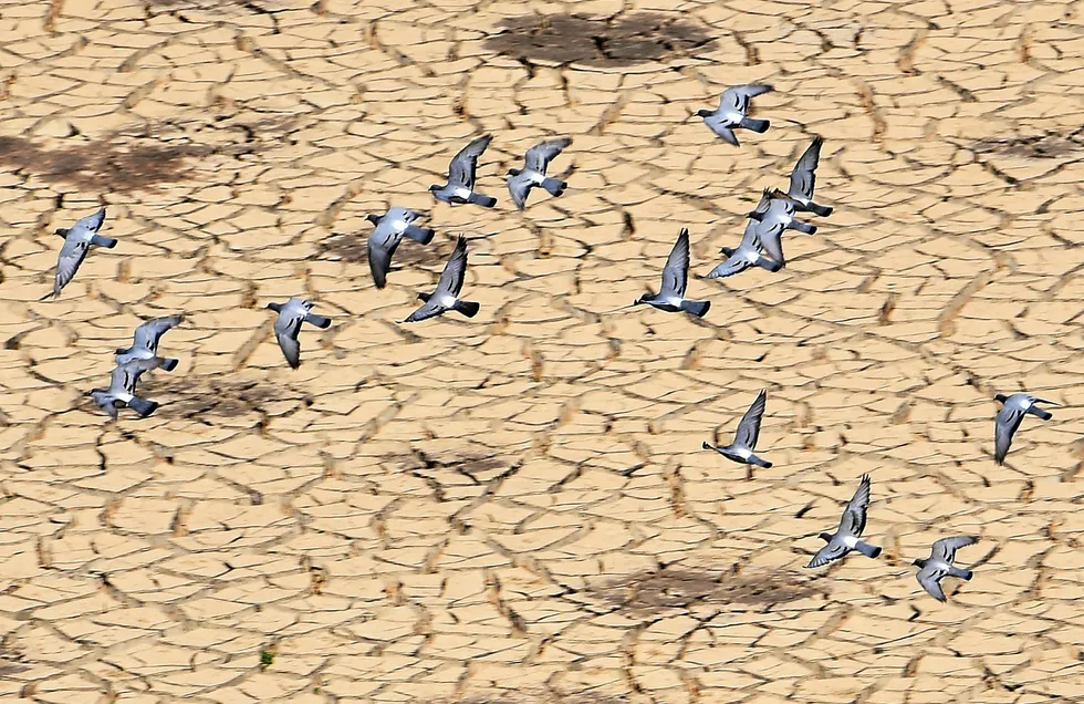 De fem neste månedene lever menneskene på kreditt fra naturen. På bildet flyr duer over en uttørket vannreservoar i Tunisia. Foto: Fethi Belaid/AFP photo/NTB scanpix