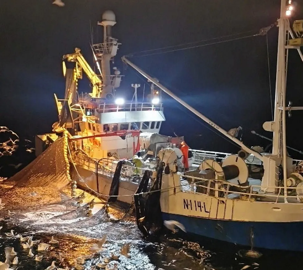 «Lurøybas» har sikret seg sild på Kvænangen. Nå er mannskapet på vei til Løddingen for levering.