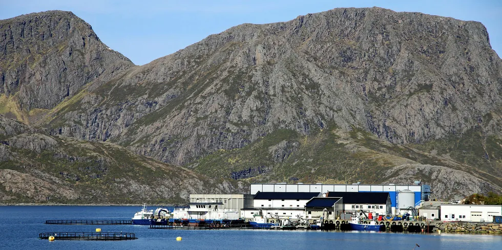 Egil Kristoffersen og Sønner i Bø, Vesterålen.