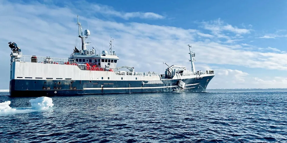 «Vima» på 78,39 meter fra Austevoll-rederiet Opilio har fortsatt teiner som står og fisker i Barentshavet. Nå har isen trukket seg tilbake, og det er mulig å sokne etter teinene og sette ut krabben.