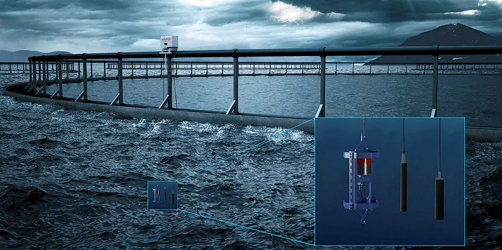 De siste fire årene har Vard Aqua Sunndal installert den trådløse miljøloggeren Aqualog i over 1000 merder.