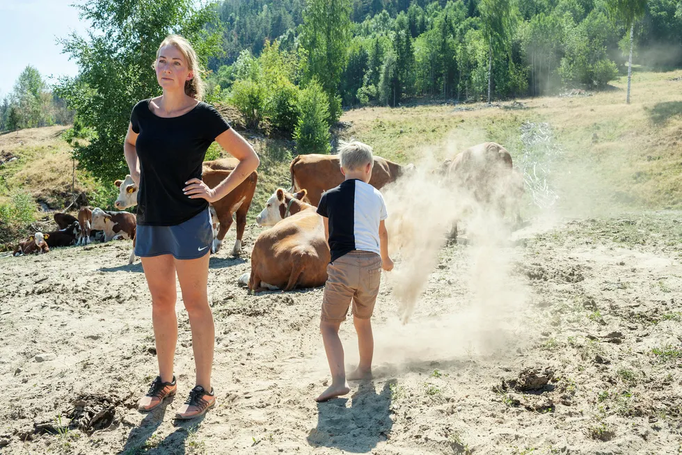 Ann Kristin Teksle driver gård i Ulefoss og er blant de tørkerammede bøndene som sannsynligvis må slakte ungdyr på grunn av fôrmangel. Nå forhandler staten og bøndene om justeringer av jordbruksavtalen.