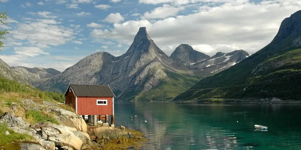 I Tysfjord er det startet et nytt fiskeforedlingsselskap.