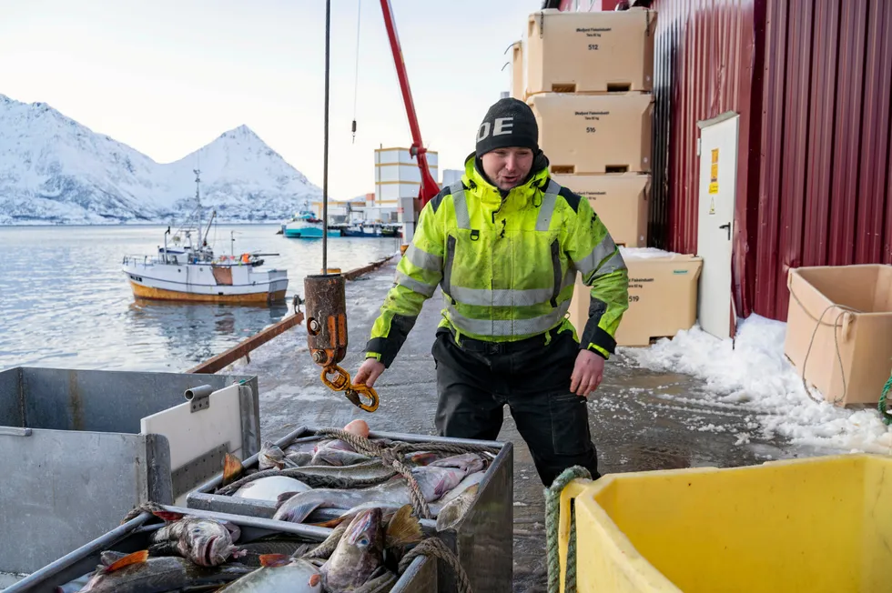 Annfinn Ervik flyttet fra Ålesund til Øksfjord i Finnmark for å drive hele året som fisker. Han er skipper på båten «Rosøy».