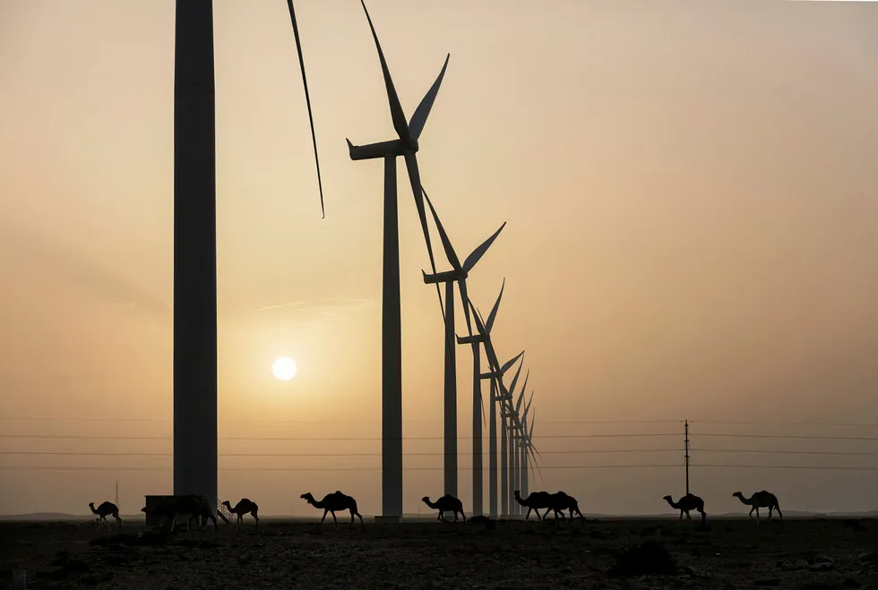 Up and running: a wind farm in Morocco