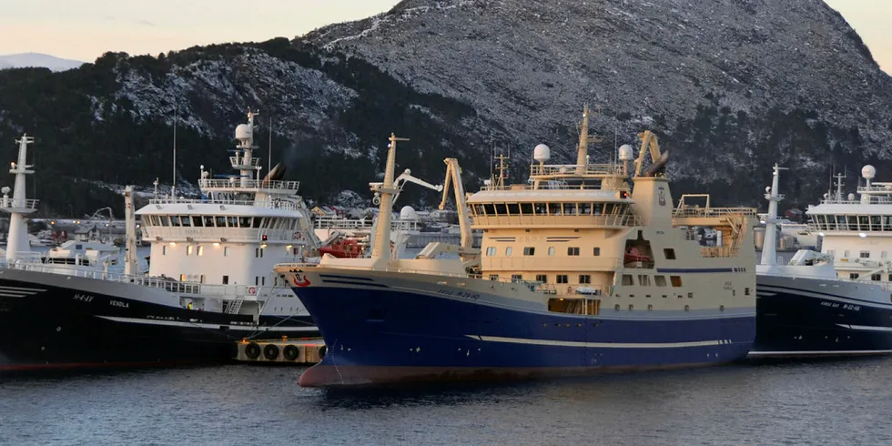 GYTETOKT: «Vendla», «Eros» og «Kings Bay» gikk fra Ålesund fredag for å gjennomføre Havforskningsinstituttets to uker lange gytetokt på norskekysten.