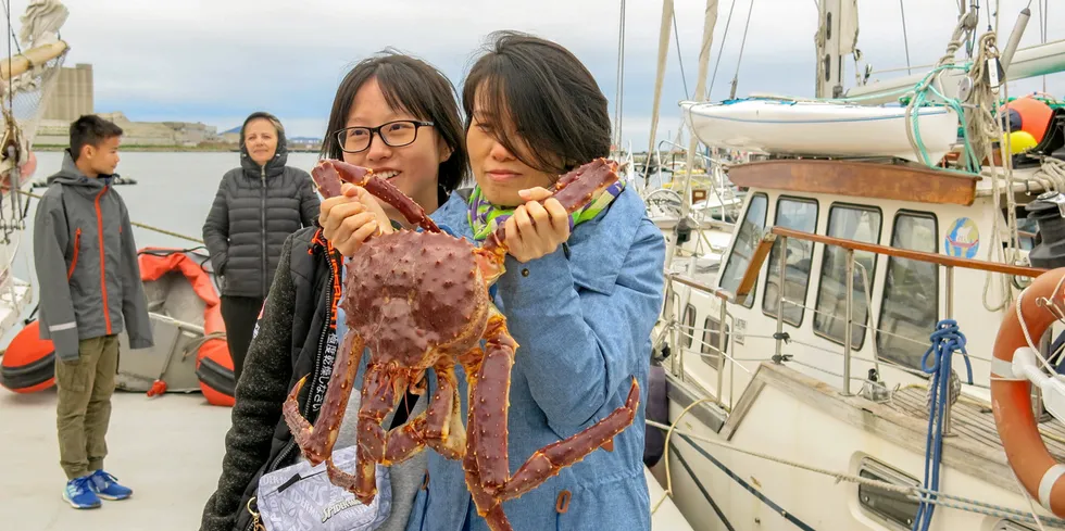 Myndighetene åpner for at turister får fiske inntil totalt 600 kilo kongekrabbe nå i april.