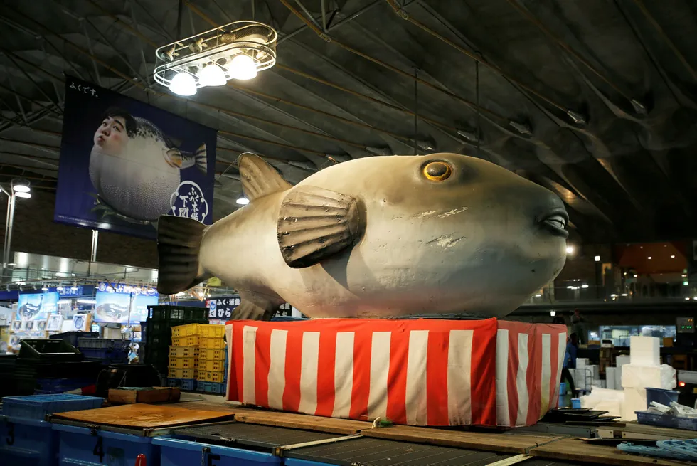 Relation?: giant statue of a pufferfish at Karato fish market in Shimonoseki, southern Japan