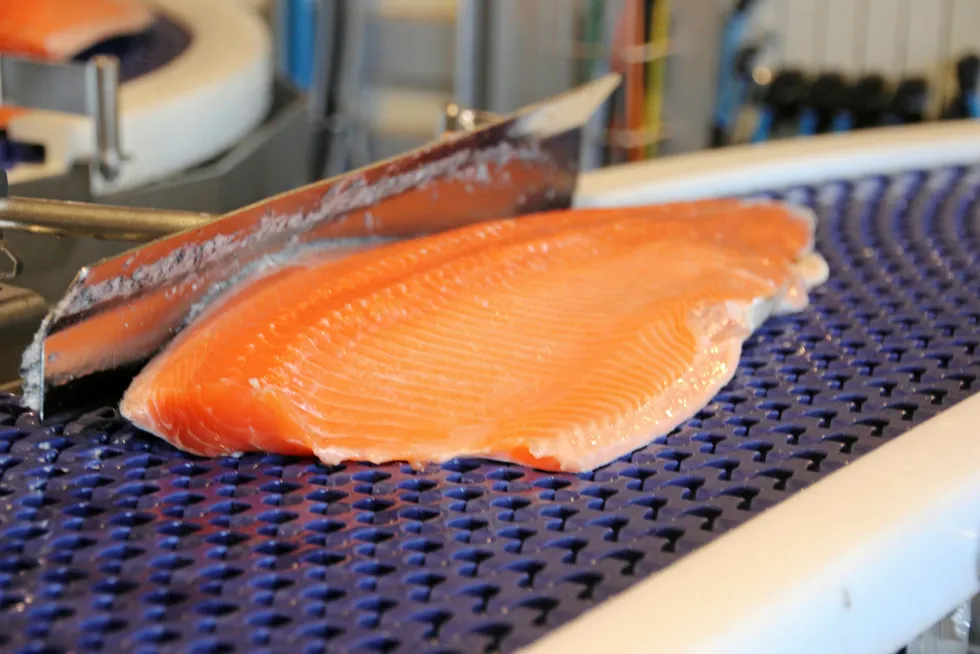 October will start with a drop in prices for Norwegian Atlantic salmon.