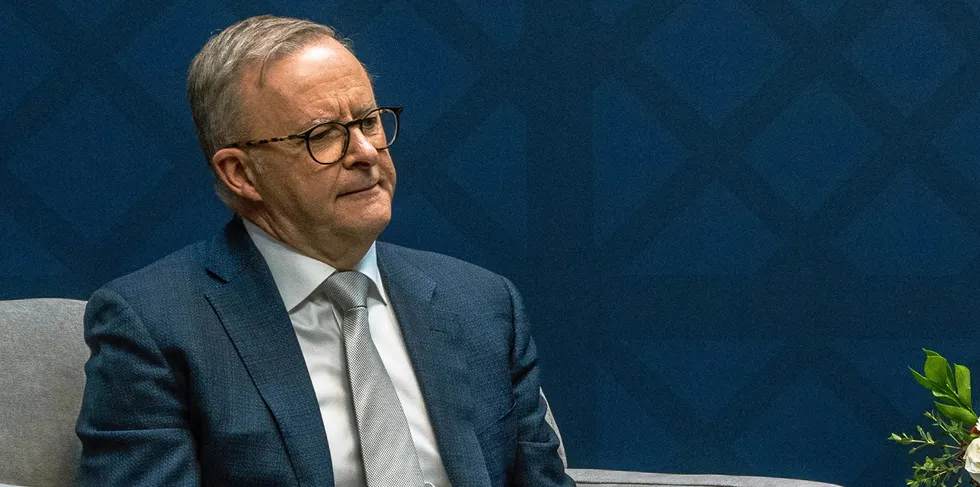 Anthony Albanese replaced climate skeptic Scott Morrison as Prime Minister in 2022.