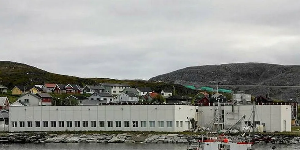 MEHAMN: Filetanlegget i Mehamn kommer i gang fra nyttår uavhengig av «Hjeltnes-kvota».Foto: Arkiv