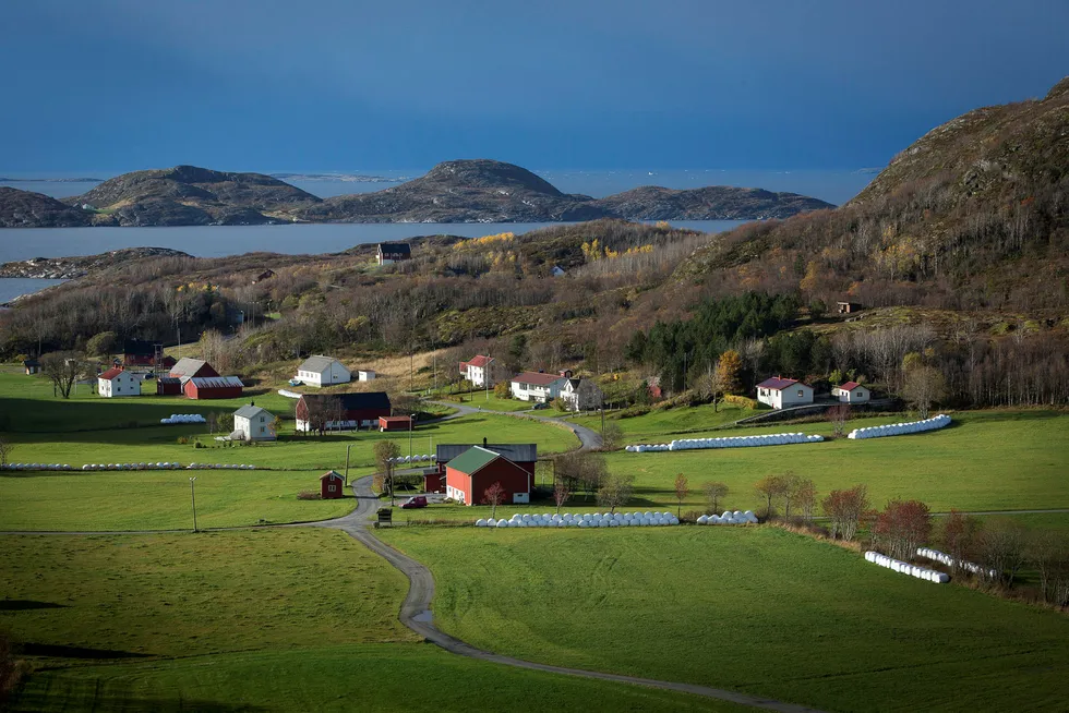 Vi inviterer jordbruket til en avtale om klimakutt der deres eget mål om 20 prosent er et naturlig utgangspunkt, sier forfatteren. Foto: Ole Morten Melgård