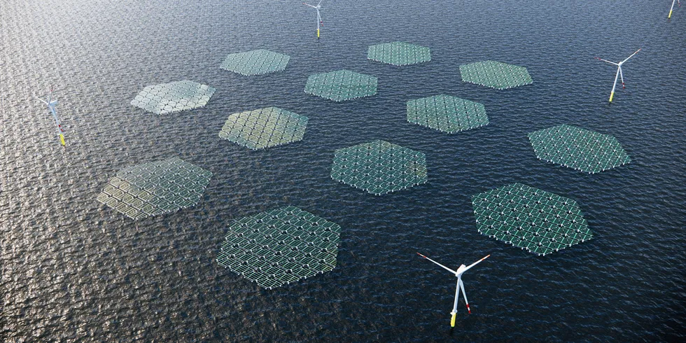 SolarDuck rendering of planned floating offshore solar and wind demonstrator off Holland.