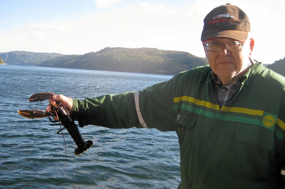 – Jeg er godt fornøyd med hummerfangstene i Rosfjorden, sier veteranfisker Sverre Wisdal fra Lyngdal.