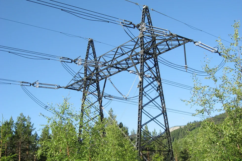 Dagens regulering av strømmarkedet er dårlig tilpasset perioder med mangler og kriser, skriver forfatteren.