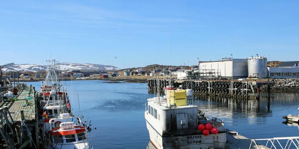 Tettstedet Gamvik med mottaket Gamvik Seafood og fiskebåtene som er tilknyttet anlegget.Foto: Arne Fenstad