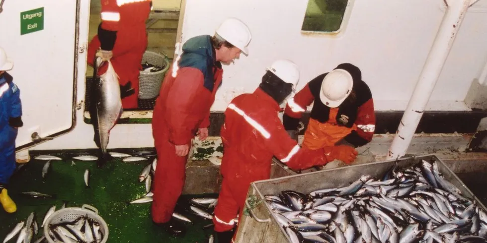 Sildefiskerne og forskerne krangler, men de må bli mer ydmyke. Dessuten trengs en tredjepart inn for å bidra til en løsning, mener FiskeribladetFiskaren på lederplass.