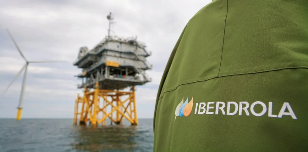 Iberdrola blasts into Poland with half share of 7.3GW offshore wind pipeline