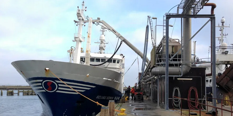 «Selvåg Senior» er en av båtene som har vært med på å utvikle nye, klimavennlige kjølesystemer i fiskeflåten.