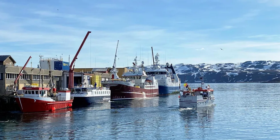 Både torsk og hyse har blitt levert levende til blant annet Lerøy Norway Seafoods AS avdeling Båtsfjord den siste tiden.