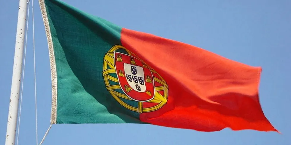 Portuguese flag.