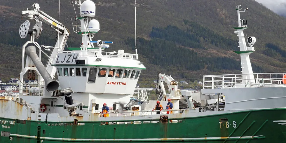 FOR STOR: «Arnøytind» er en kystbåt på 38 meter og har ifølge politiet fisket innenfor fjordlinjebegrensningene, der båter over 15 meter ikke skal fiske.