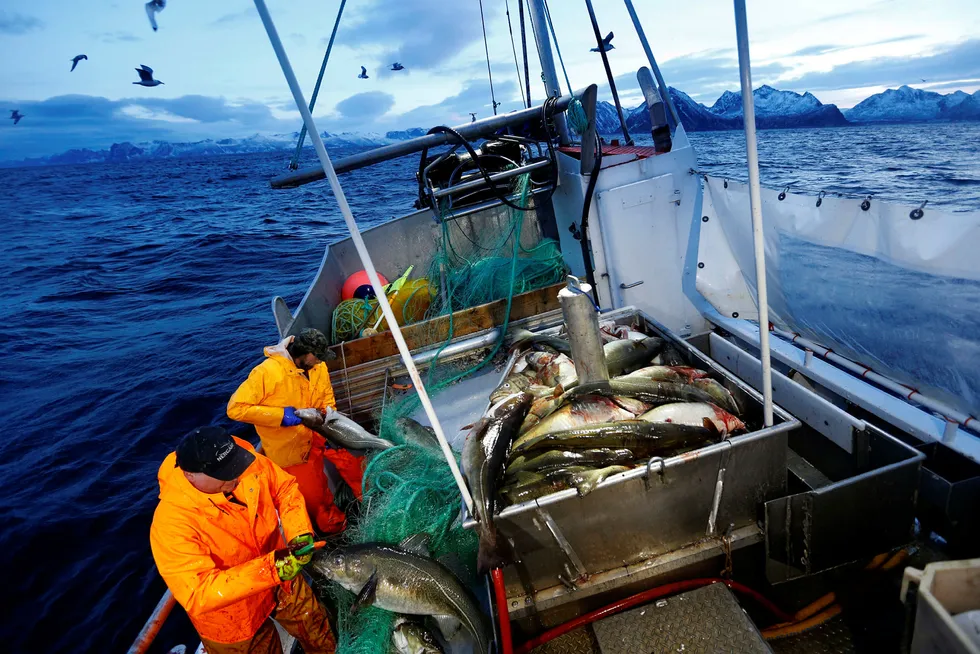 Det manes til kamp langs kysten. Flere utvalg har foreslått endringer i fiskerinæringen som potensielt kan få store konsekvenser. Foto: Cornelius Poppe/NTB scanpix
