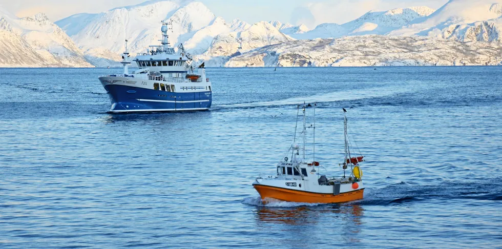 Det kan ikke understrekes tydelig nok at fartøygruppen Stor kyst er særdeles viktig for å skape aktivitet og helårlig drift langs hele kysten, særlig i Nord-Norge.