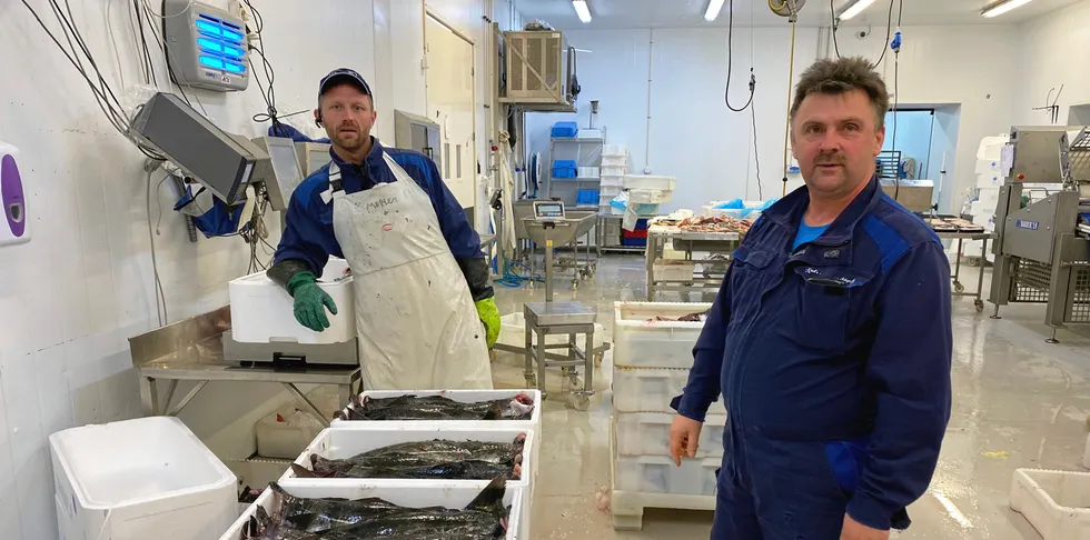 OPPRETTHOLDER PRODUKSJONEN: Det pakkes fersk sei hos Karls Fisk og Skalldyr i Tromsø. Sjefen sjøl, Karl-Alberth Hansen (til høyre) og pakkesjef Richard Lorentzen.