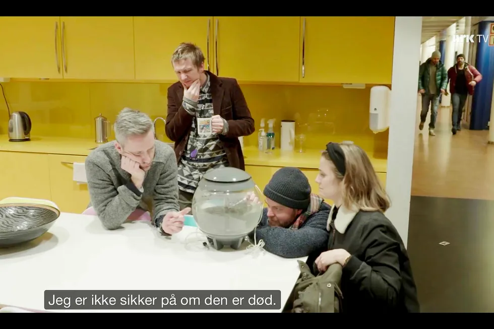 Skjermdump fra NRK Satiriks' episode hvor programlederne tester om akvariefisken overlever giftutslipp i gullfiskbollen.