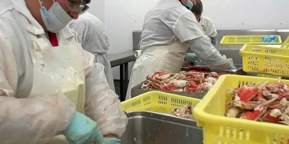 There have been numerous COVID-19 outbreaks at seafood processing plants in Oregon this year.