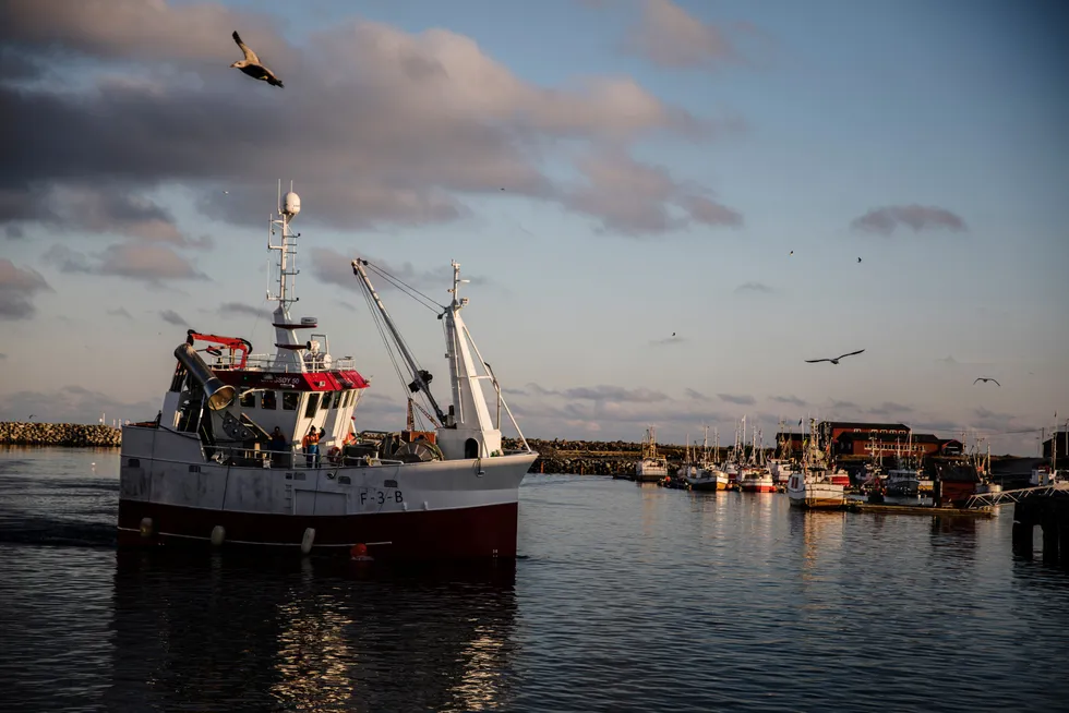 Men mer enn i noen annen bransje gjelder det i fiskeriforvaltning å sette tæring etter næring, skriver Geir Huse og Bjarte Bogstad.