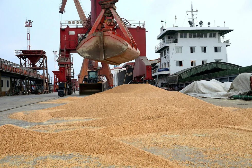 Eksport av soyabønner fra USA til Kina – det viktigste markedet – har kollapset de siste månedene. Nå er det håp om at Kina vil åpne grensene mens forhandlingene om en avtale med USA pågår frem til slutten av februar.