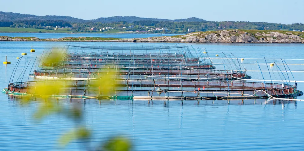 Havbruk på Frøya