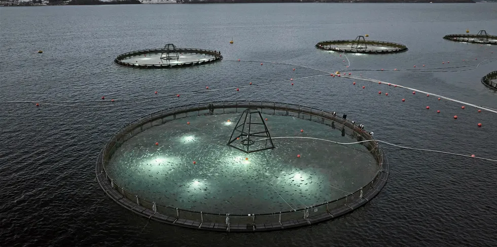 Slik ser lysstyring for å hindre kjønnsmodning på oppdrettstorsk ut på en av Odes lokaliteter. Nå er det store planer for oppdrett av torsk langs hele norskekysten. Det vil bli positivt også for villfisknæringen, mener Fiskeribladet.