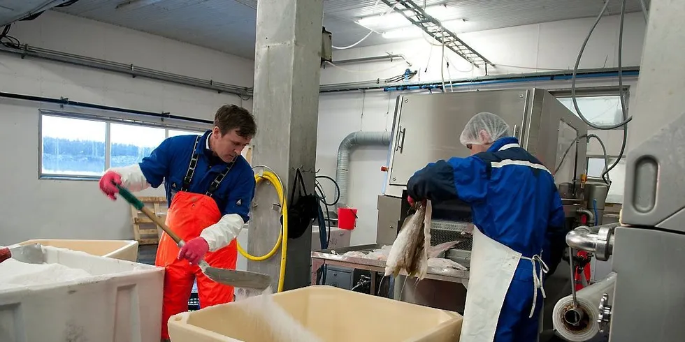 Norske sjømatbedrifter som ikke registrerer seg for fiskeeksport til Kina innen i morgen kan bli utestengt fra verdens største marked de neste årene. Foto: Kjersti Kvile