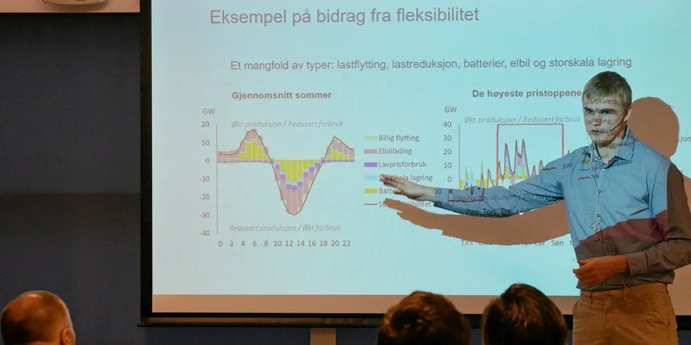 Analyse: Analytiker Vegard Holmefjord i Statnett la fram selskapets langsiktige markedsanalyse i Oslo i begynnelsen av desember.