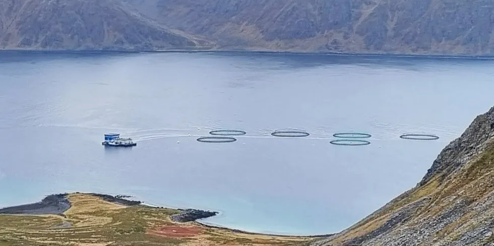 Grieg Seafood sin lokalitet i Vannfjorden i Nordkapp kommune.