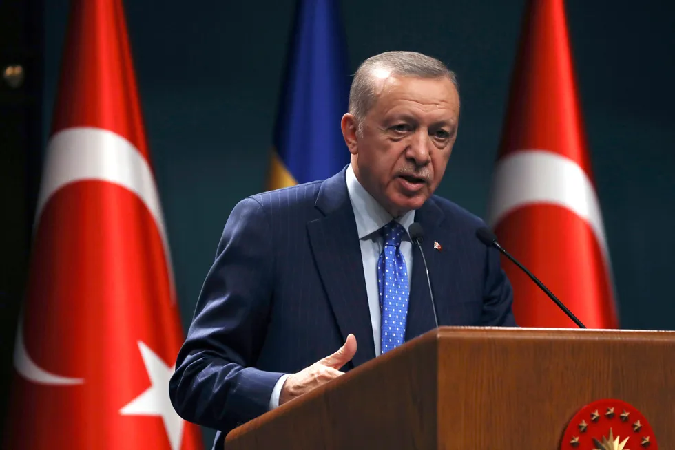 Tyrkias president, Recep Tayyip Erdogan, vet utmerket godt hvordan vestlige demokratier fungerer.