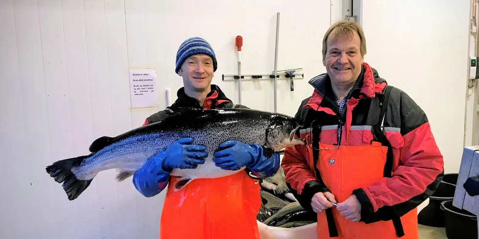 Forskarane Per Gunnar Fjelldal og Tom Hansen har greidd å lage superhannlaksar. Rogn som blir befrukta med superhannlaksen sin sperm, vil nesten garantert bli hannfisk.