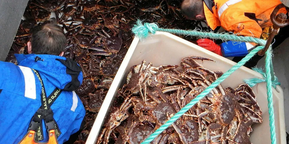 KONGEKRABBE: Fiskere i Hammerfest, Hasvik, Loppa, Kvalsund og Alta kan komme til å få delta i det kvoteregulerte fisket etter kongekrabbe. Fiskeriministeren sender nå ut forslag om dette på høring.