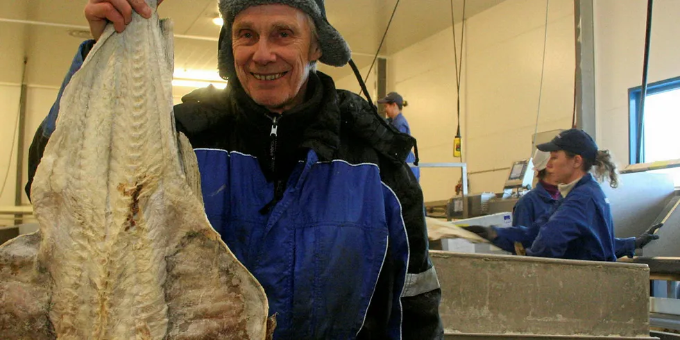 Hermann Pettersen er i gang igjen med klippfiskproduksjonen i Havøysund og klar til å ta imot seifangster.