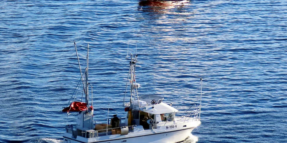 VIL VÆRE MED: Sjarkflåten i Nordland vil gjerne benytte ferskfiskordninga, og da helst i hjemlige farvann og til fordel for hjemlig fiskeindustri.