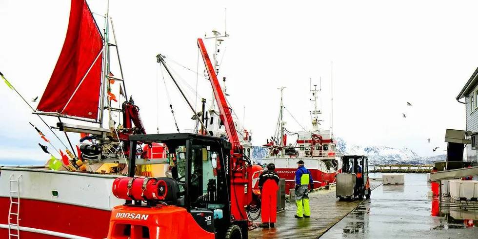 INNSTRAMNING: Reglene rundt hvor fisk og kongekrabbe kan landes på kysten må strammes inn, og det er på tide å vurdere et forbud mot de mobile mottaksstasjonene.Foto: Eskild Johansen