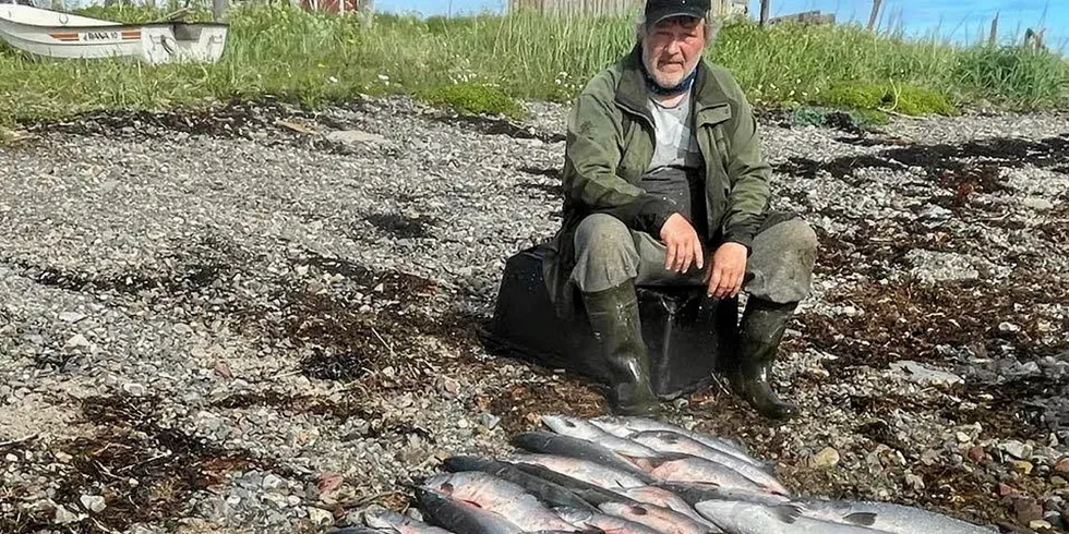 Fisker Øystein Dahl mener den utskjelte pukkellaksen er en fantastisk matfisk.